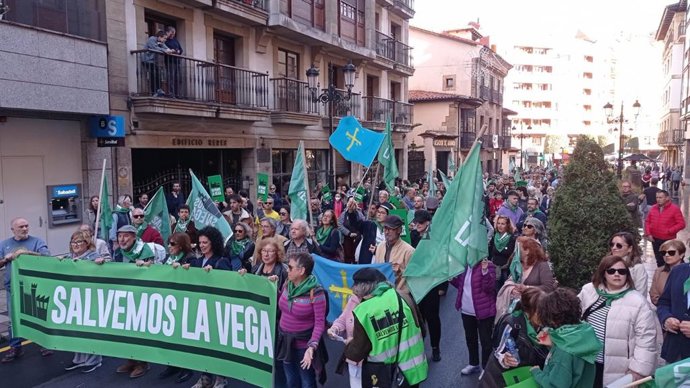 Manifestación contra el protocolo de La Vega en Oviedo