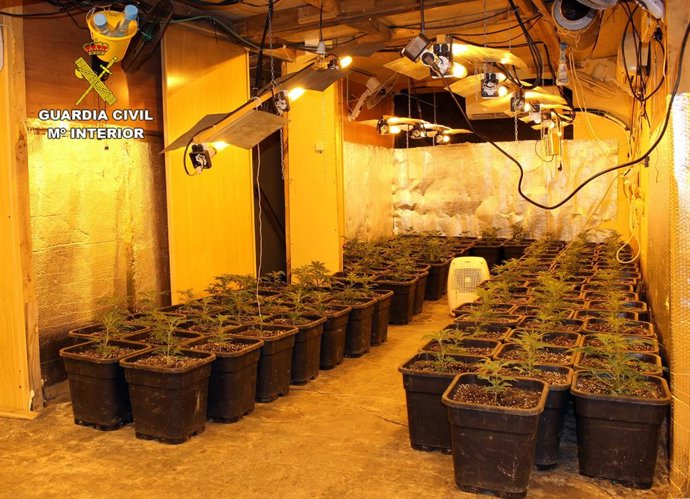 Uno de los invernaderos