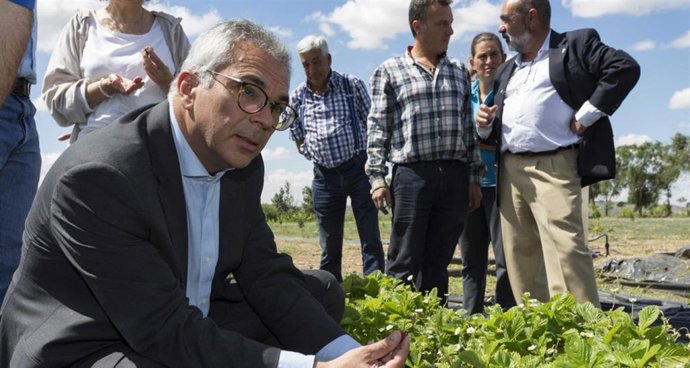 El consejero de Administración Local y Digitalización, Carlos Izquierdo