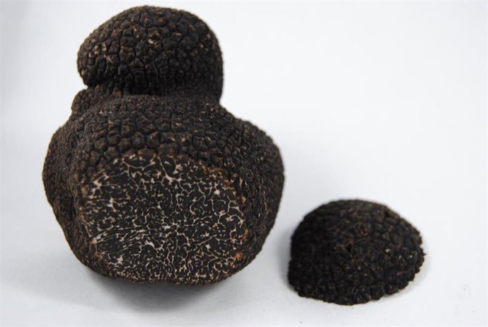 Trufa negra.
