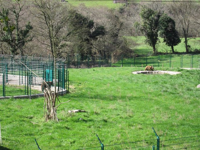 Archivo - Senda del Oso en Asturias