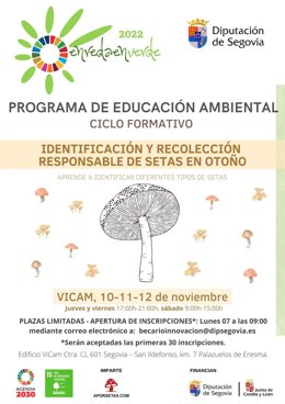 La Diputación de Segovia propone dos cursos sobre el cultivo e identificación de setas dentro de su programa 'Enreda en Verde 2022'