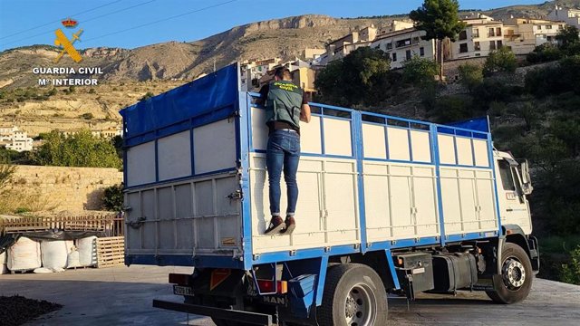 Investigadas 17 personas por robar 23 tonaledas de algarrobas en la Marina Alta y Baixa