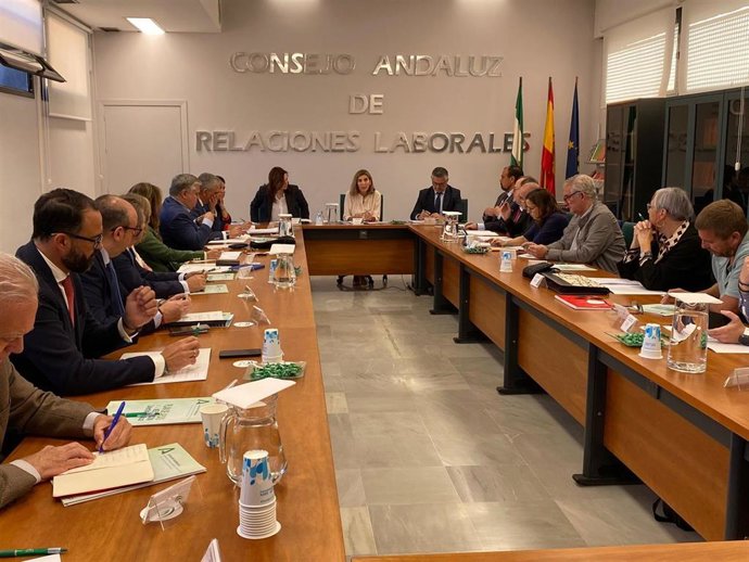 La consejera de Empleo, Empresa y Trabajo Autónomo, Rocío Blanco, preside el Pleno del Consejo Andaluz de Relaciones Laborales (CARL).