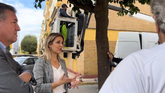 La alcaldesa de la ciudad, Ana Isabel Jiménez, ha explicado que además de los proyectos en marcha de reposición y sustitución de líneas, cuadros y luminarias, desde Servicios Urbanos se instala un nuevo sistema de alumbrado en cada obra de reurbanizació