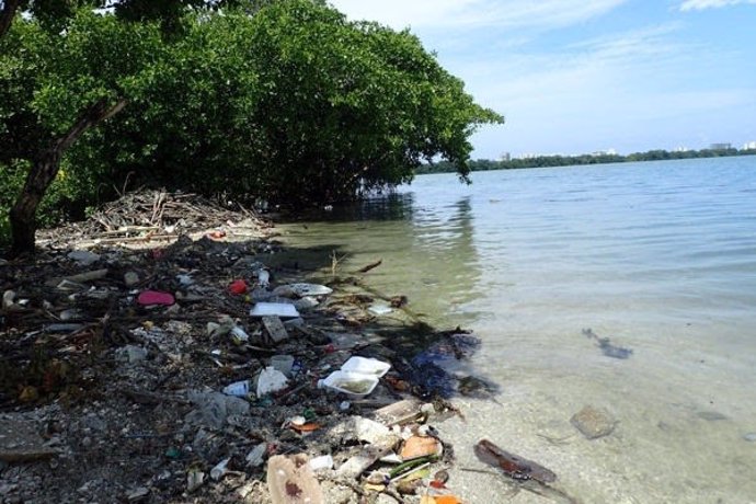 Acumulación de basura en la costa pantanosa de La Virgen (Cartagena, Colombia)
