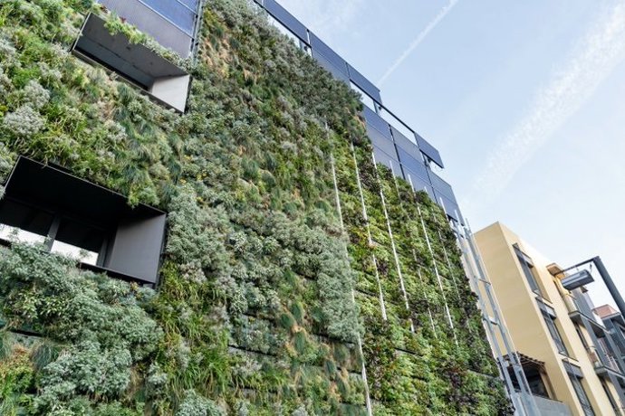 Jardí vertical en un edifici de Barcelona