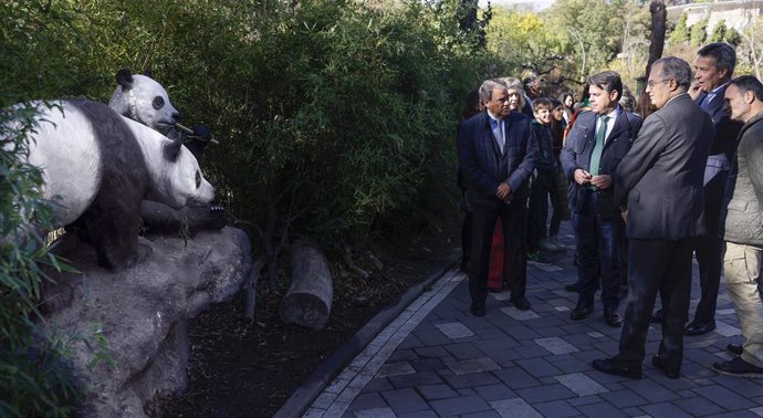 El vicepresidente, consejero de Educación y Universidades, Enrique Ossorio, ha asistido a un taller sobre los osos panda en el Zoo Aquarium de Madrid