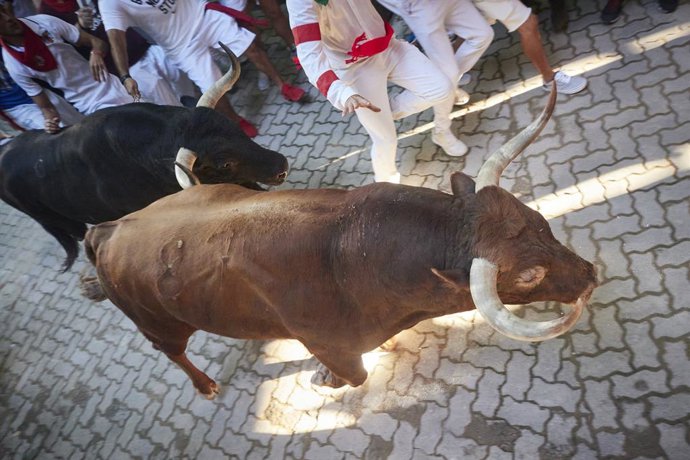 Archivo - Varias personas corren en el séptimo y penúltimo encierro de las Fiestas de San Fermín 2022 de la ganadería de Don Victoriano del Río Cortés, a 13 de julio de 2022, en Pamplona, Navarra (España). Las fiestas en honor a San Fermín, patrón de Na