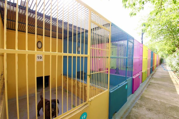 Jaulas de perros en Son Reus.