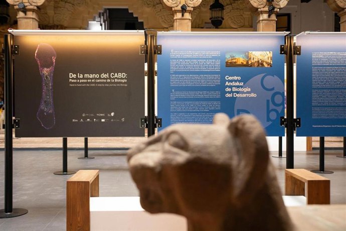 Archivo - Una exposición en el Museo Casa de la Ciencia, en una imagen de archivo.