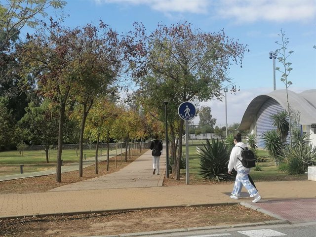 Uno de los caminos del campus de la UPO que será entoldado para combatir el calor