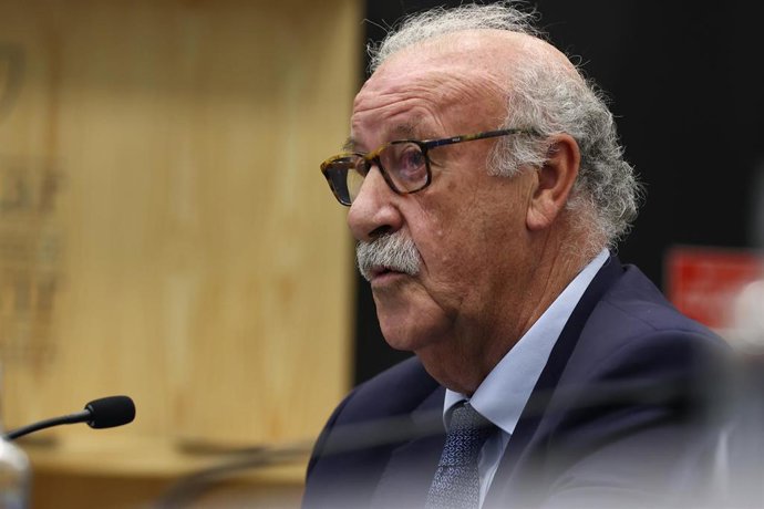 Archivo - El exseleccionador nacional de fútbol Vicente del Bosque.