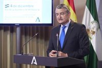 El Día de la Bandera de Andalucía será laborable y se celebrará el 4 de diciembre en instituciones y colegios