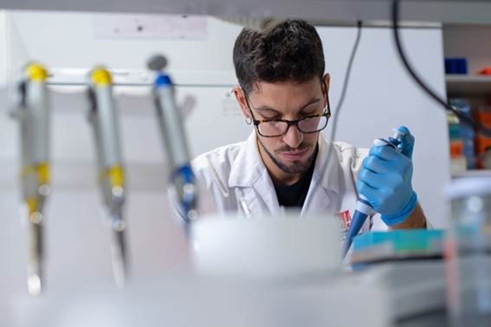 Un investigador del Instituto de Neurociencias (IN-CSIC-UMH), en su laboratorio. ¡