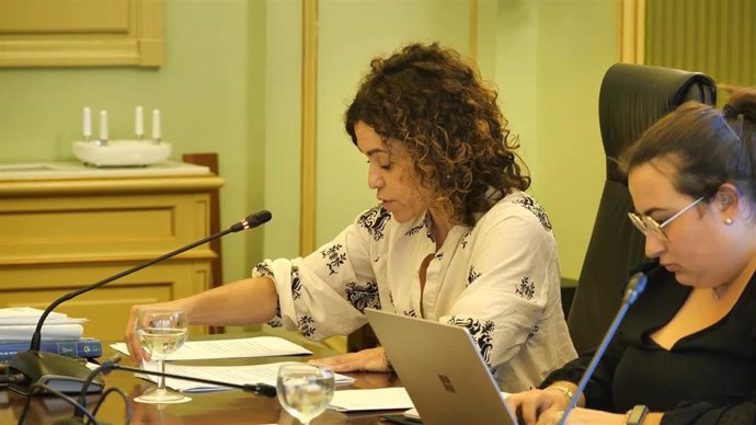 La conselllera de Hacienda y Relaciones Exteriores, Rosario Sánchez, en una comparecencia en la Comisión de Hacienda del Parlament.