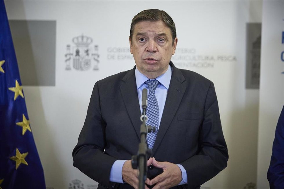 El ministro de Agricultura, Pesca y Alimentación, Luis Planas 