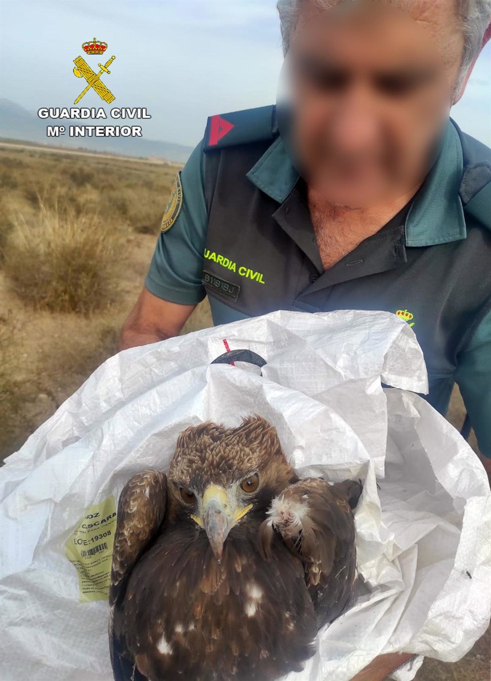 Un agente de la Guardia Civil posa con el águila real herida