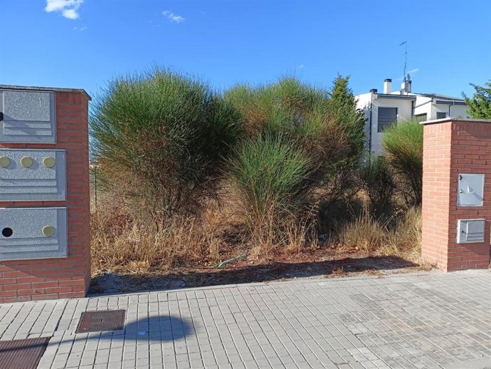 Una de las parcelas afectadas por la falta de desbroce.