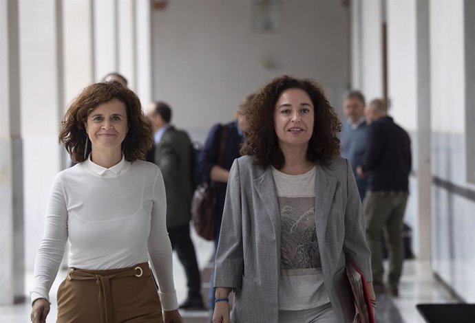 La diputada de Por Andalucía, Inmaculada Nieto (d) y la diputada de Podemos, Esperanza Gómez (I), a s llegada a la rueda de prensa previa al Pleno de la Cámara, en el Parlamento de Andalucía. A 09 de noviembre de 2022, en Sevilla (Andalucía, España).