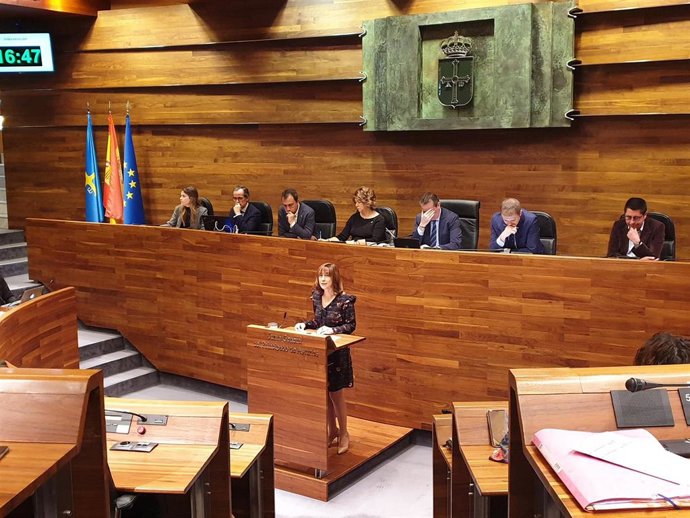 Archivo - Imagen de archivo de la consejera de Hacienda del Principado, Ana Cárcaba, en la Junta General