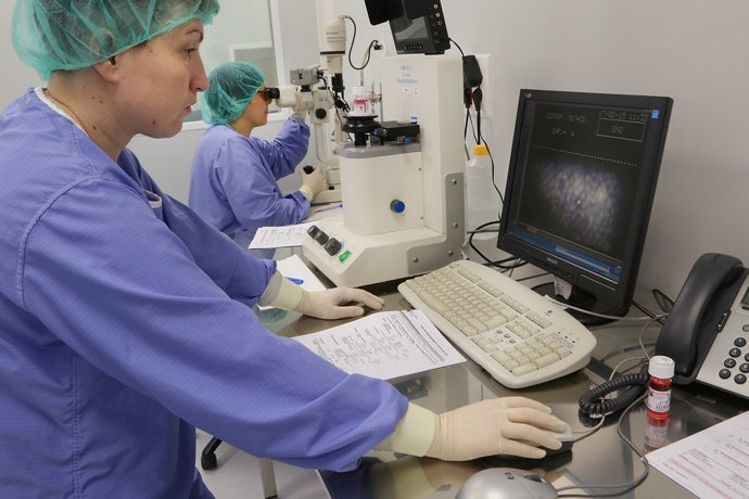 Profesional sanitario analiza córneas donadas