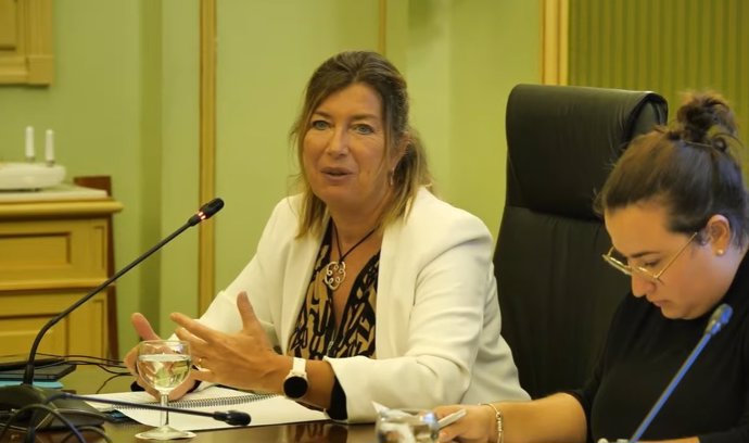 La consellera de Salud y Consumo, Patricia Gómez, al comienzo de la Comisión.
