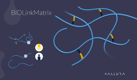 Comunicados Internacional