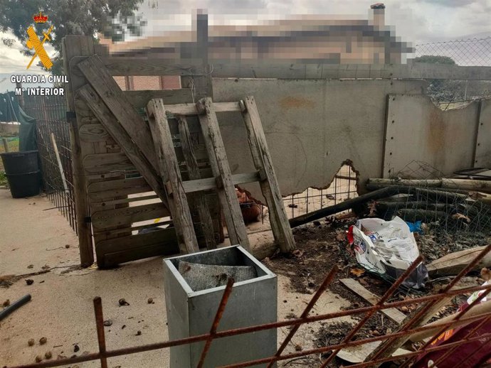 Patio en el que hallaron a los perros.