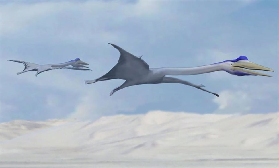 Recreación de E. Otyikokolo volando sobre el océano.