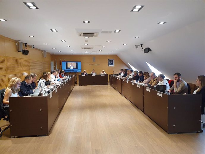 Pleno del Ayuntamiento de Arganda