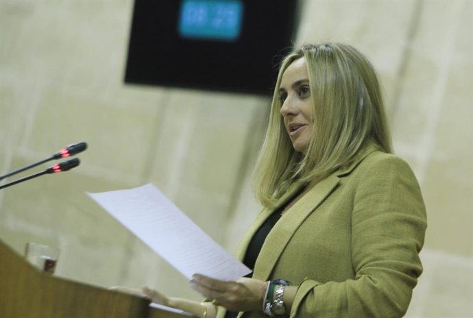 La consejera de Fomento, Marifrán Carazo, este jueves durante su comparecencia ante el Pleno del Parlamento.