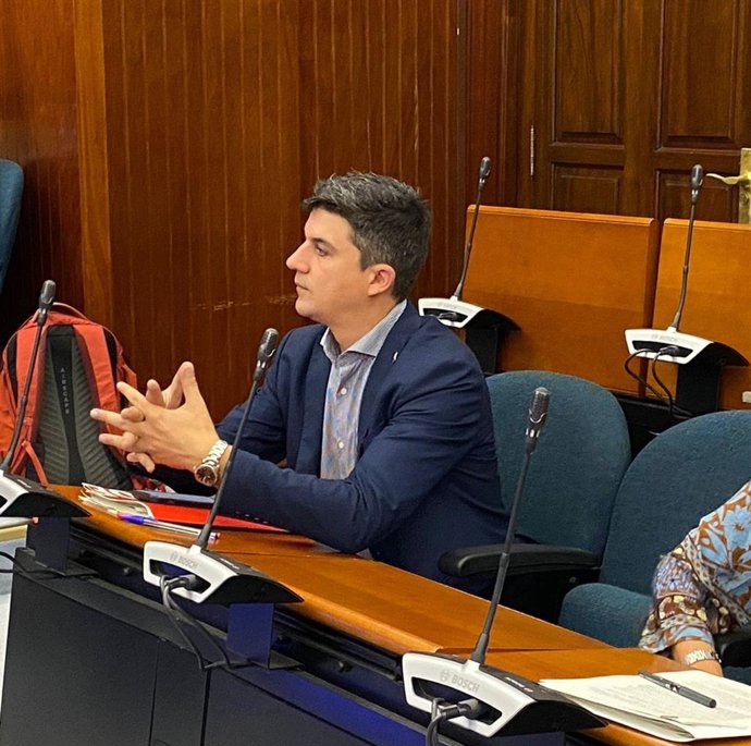 El portavoz del PSOE de Santander, Daniel Fernández