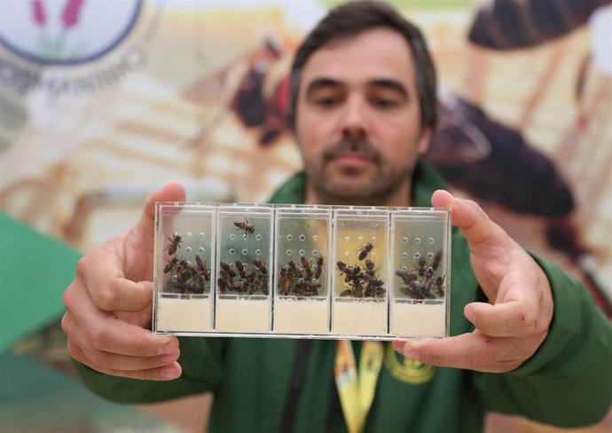 FEria de Apicultura de las Hurdes