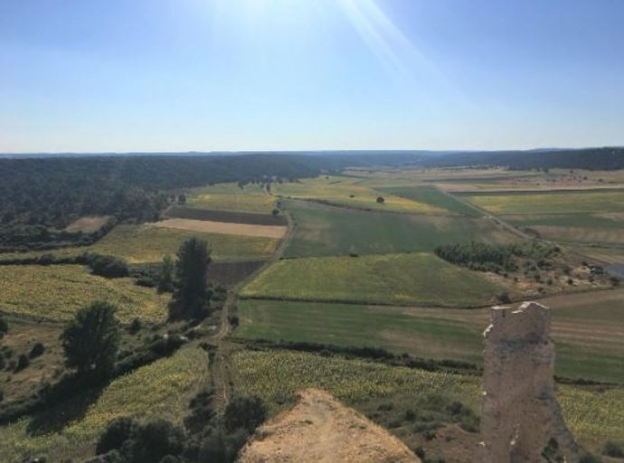 Paisaje agrícola con diversidad de cultivos y tamaño de campos pequeños