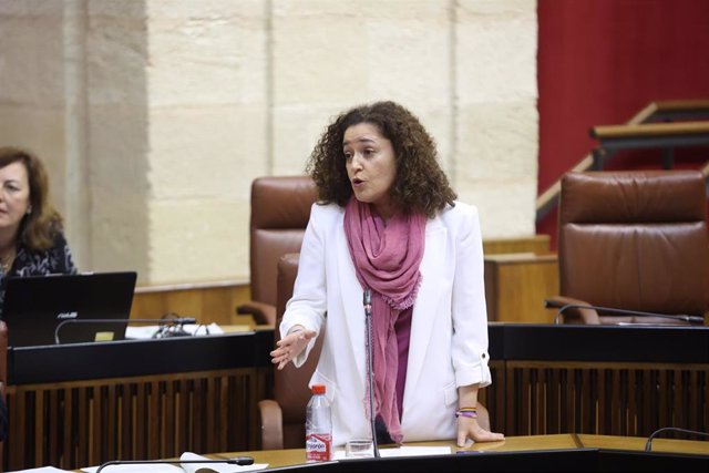 La portavoz de Por Andalucía, Inmaculada Nieto, en el Pleno del Parlamento de Andalucía.