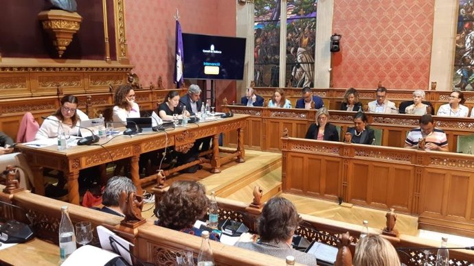 Pleno ordinario del Consell de Mallorca.