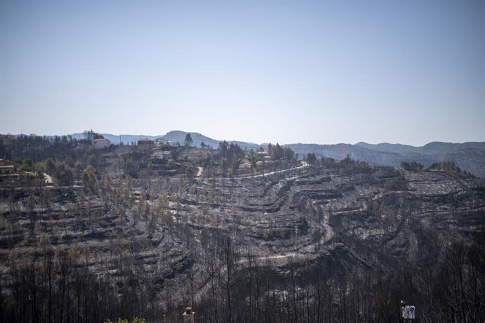 Archivo - Imatge d'arxiu després d'un incendi