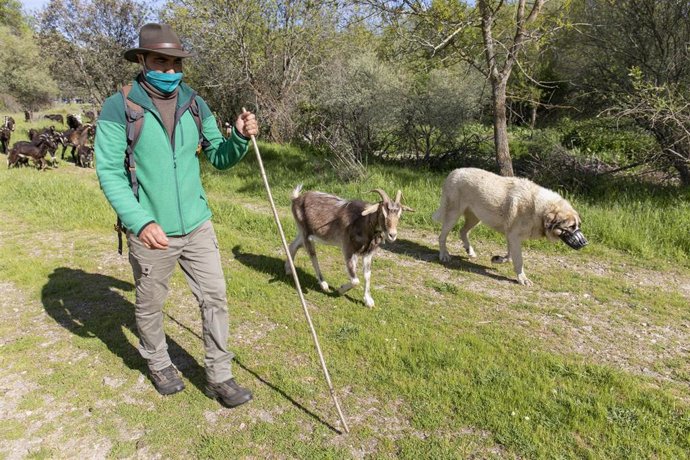 Archivo - El alcalde de la mancomunidad de El Boalo, Javier de los Nietos.
