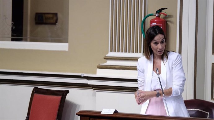 La portavoz del Grupo Parlamentario Socialista, Nira Fierro