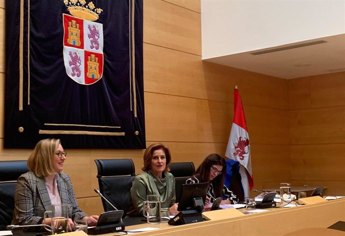 Comparecencia de la consejera de Familia e Igualdad de Oportunidades de Castilla y León, Isabel Blanco Llamas.