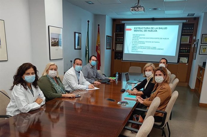 Imagen del encuentro técnico sobre Salud Mental en Huelva.