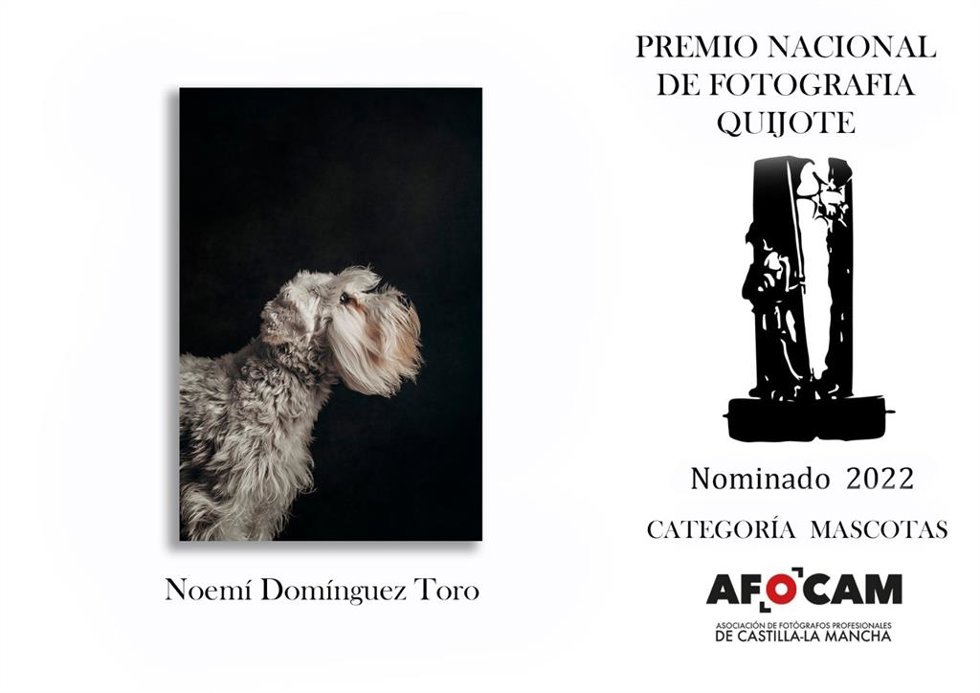 Forografía de Noemí Domínguez nominada al Premio Nacional de Forografía Quijote 2022