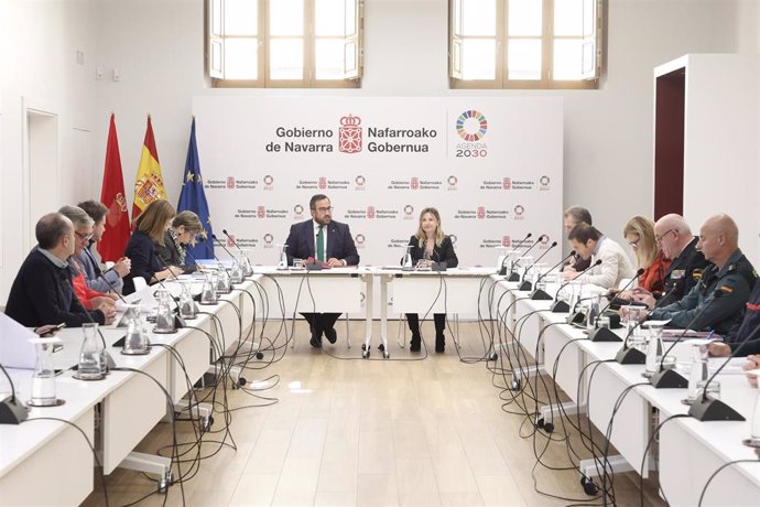 Imagen de la sesión de la Comisión, reunida en el Palacio de Navarra.
