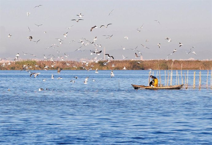 Pesca Tradicional En La Albufera De Valencia