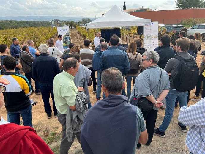 Presentación de los resultados del ensayo.