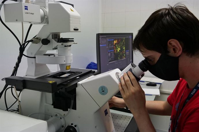 Archivo - Un joven investigador