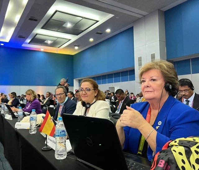 La presidenta del Tribunal de Cuentas, Enriqueta Chicano, en un congreso de la INTOSAI