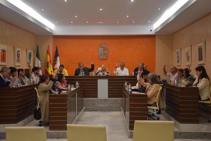 Pleno del Ayuntamiento de Almonte.