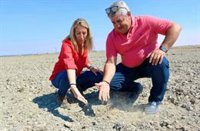 La presidenta del PP extremeño asegura que la burocracia de la Junta hace "casi imposible" quemar los restos de poda